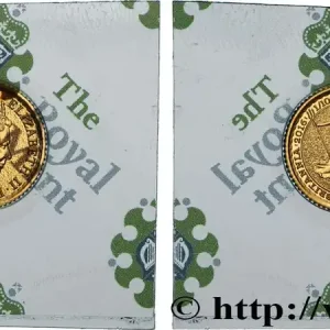OR, PALLADIUM ET PLATINE INVESTISSEMENT 1/10 Oz - 10 Pounds Britannia 2016 fwo_869920 Monde Marque