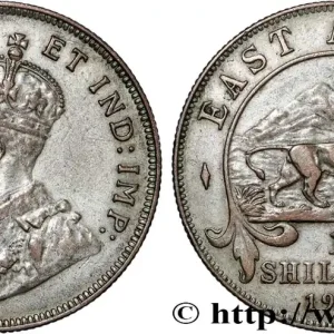 Offre Du Jour AFRIQUE DE L'EST 1 Shilling Georges V 1925 British Royal Mint fwo_856144 Monde