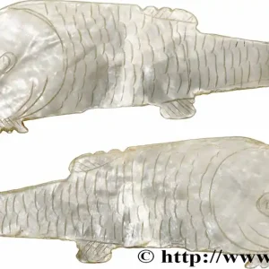 CHINE Jeton de jeu en nacre pisciforme XIXe fwo_783805 Monde Paiement Sécurisé