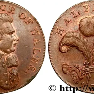 Acheter En Ligne ROYAUME-UNI (TOKENS) 1/2 Penny (Essex) Warley Camp 1794 fwo_550489 Monde