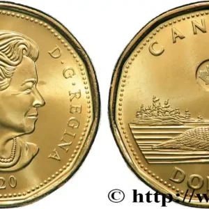 Fait Main CANADA 1 Dollar Plongeon huard 2020 fwo_828441 Monde