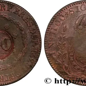 Solde BRÉSIL - EMPIRE DU BRÉSIL - PIERRE II 40 Réis contremarqué sur une 80 Réis 1832 (1835) Rio de Janeiro fwo_876764 Monde