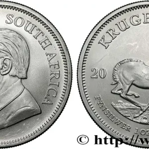 Réduction AFRIQUE DU SUD 1 Krugerrand Paul Kruger 2020 Prétoria fwo_870250 Monde