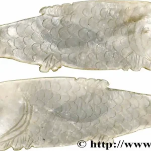 Pas Cher CHINE Jeton de jeu en nacre pisciforme XIXe fwo_783795 Monde