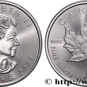 En Vogue ARGENT D'INVESTISSEMENT 1 Oz - 5 Dollars Mapple Leaf (Feuille d’érable) 2023 fwo_871433 Monde