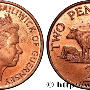 Meilleure Qualité GUERNESEY 2 Pence Elisabeth II 1999 fwo_860500 Monde