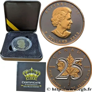 Authentique CANADA 5 Dollars (1 once) 25 ans Mapple Leaf 2013 fwo_875917 Monde