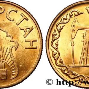 Satisfait Ou Remboursé TATARSTAN Jeton pour 10 Litres (de pétrole) N.D. fwo_845813 Monde