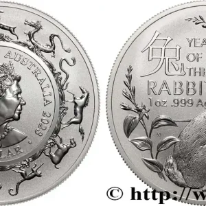 Meilleure Vente ARGENT D'INVESTISSEMENT 1 Oz - 1 Dollar Proof Année du Lapin 2023 fwo_883274 Monde