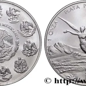 ARGENT D'INVESTISSEMENT 1 Oz - 1 Once aigle / Victoire ailée 2010 fwo_884058 Monde Super Prix