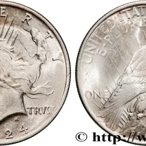 Top Qualité ÉTATS-UNIS D'AMÉRIQUE 1 Dollar type Peace 1924 Philadelphie fwo_839082 Monde