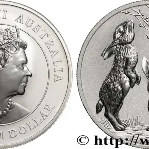 Acheter Direct ARGENT D'INVESTISSEMENT 1 Oz - 1 Dollar Proof Année du Lapin 2023 fwo_883278 Monde