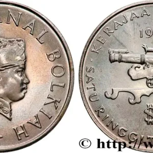 Acheter En Ligne BRUNEI 1 Dollar Sultan Hassanal Bolkiah 1986 fwo_897866 Monde