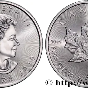 ARGENT D'INVESTISSEMENT 1 Oz - 5 Dollars Mapple Leaf 2019 fwo_883415 Monde Exclusif