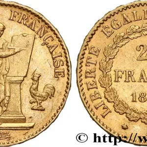 20 francs or Génie, Troisième République 1878 Paris F.533/6 fmd_619905 Modernes Produit De Marque