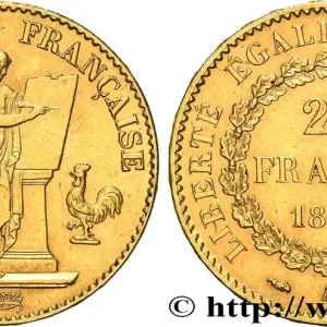 20 francs or Génie, Troisième République 1893 Paris F.533/17 fmd_627898 Modernes Top Vente
